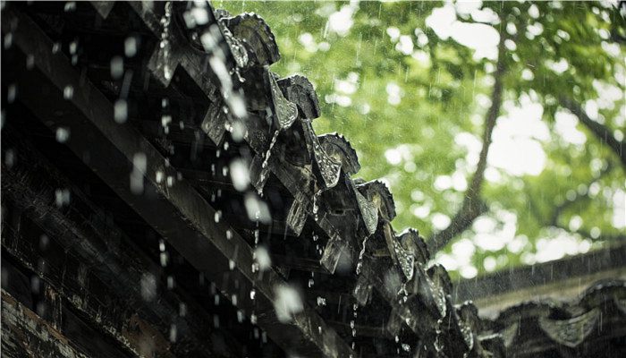 节气雨水是什么意思 雨水节气农事谚语