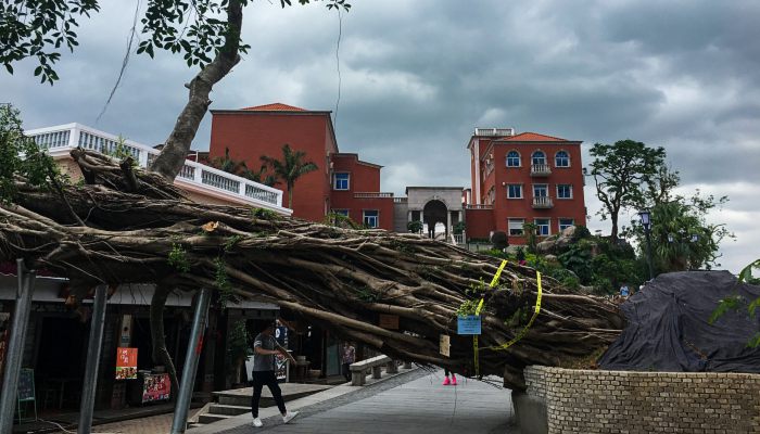 七级地震是什么概念 我国的地震烈度划分