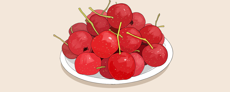 童年零食果丹皮通常以哪种水果做原料  果丹皮原材料是山楂还是梅子