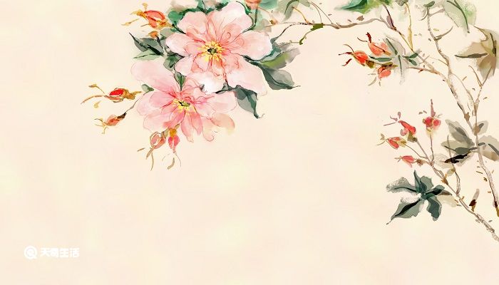 江畔独步寻花古诗意思及注释