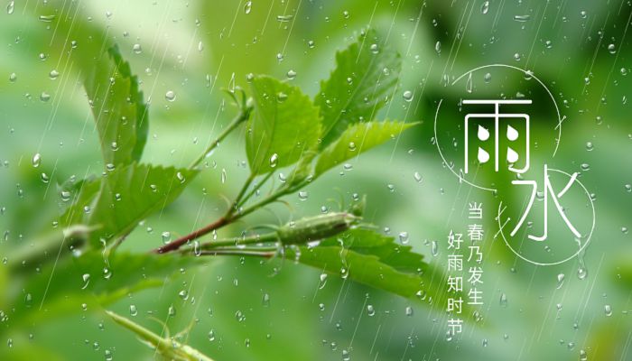 有关雨水的农谚 雨水节气相关的谚语