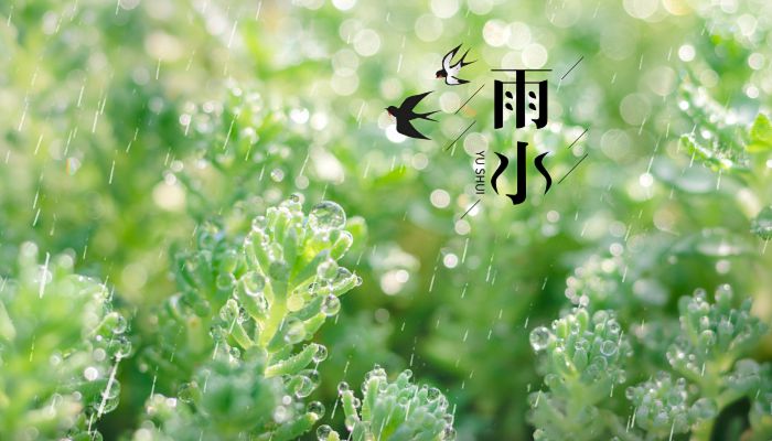 雨水节气的谚语 雨水节气相关知识