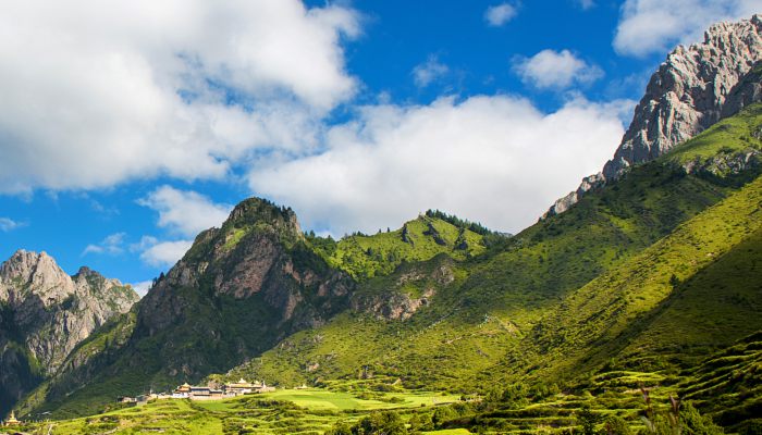 甘南油菜花几月份开花 甘南旅游哪里好玩