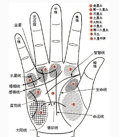 看手相算命图解（五大掌纹图解教你自测一生运势）