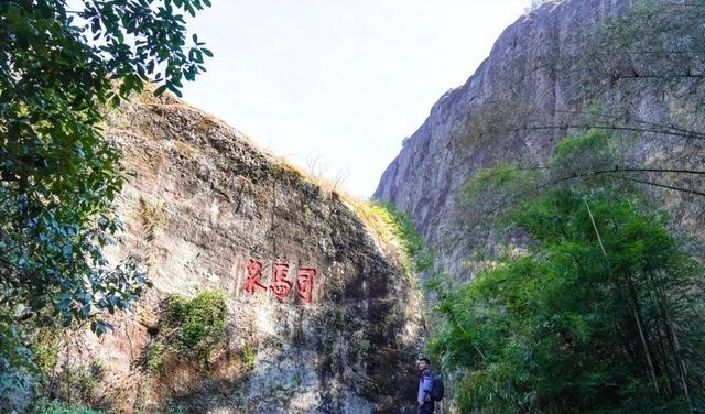 武夷山旅游攻略分享（为什么选择去武夷山旅行）