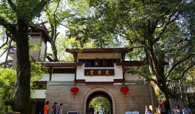 武夷山旅游攻略分享（为什么选择去武夷山旅行）