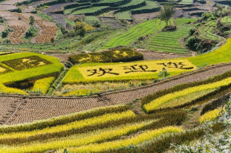 绍兴哪里好玩的地方呢 绍兴好玩又免费的景点