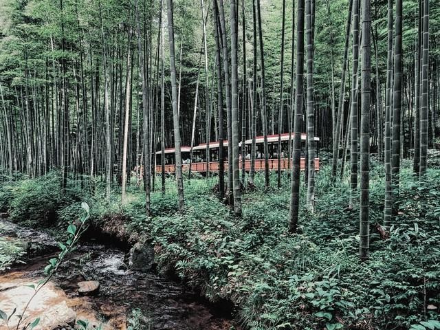 江苏必去十大景点推荐分享 江苏必去的十个旅游景点