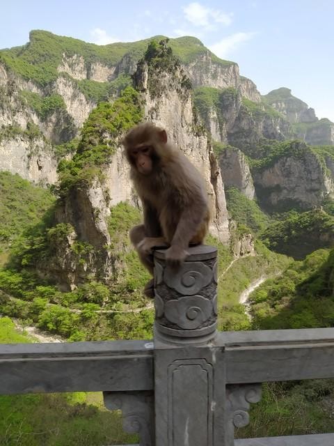 江苏必去十大景点推荐分享 江苏必去的十个旅游景点