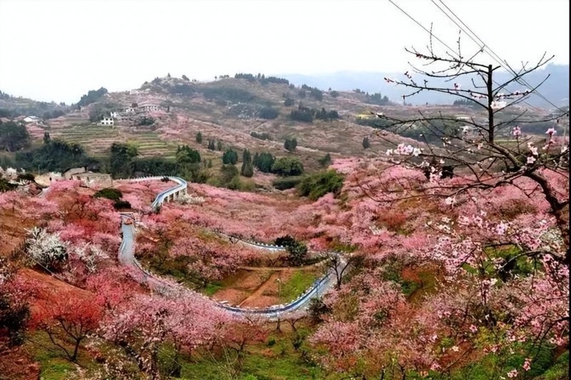 荆州好玩的地方有哪些呢 荆州不得不去的十大景区