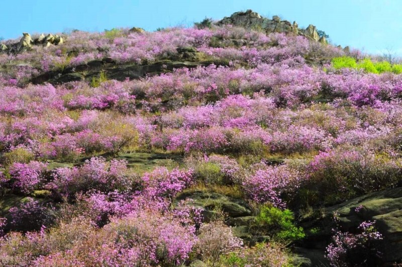 青岛海滨风景区怎么样 青岛23个免费景点合集