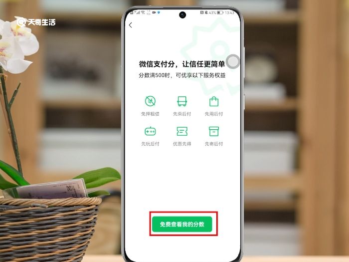 微信支付分怎么开通额度 微信支付分如何开通额度