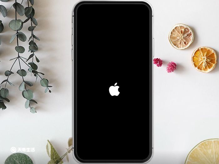 苹果11关机怎么关机开机 苹果11关机开机