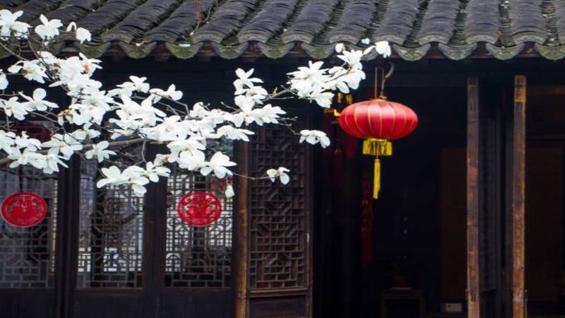 重新发现中国诗歌之美：文化复兴新时代