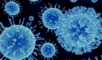 甲流病毒高发单日搜索量7万 会造成大面积感染吗？