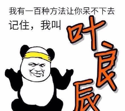 叶良辰聊天记录（叶良辰真实身份曝光）