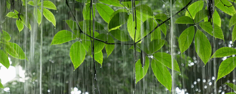 雨水节气的传统风俗有哪些
