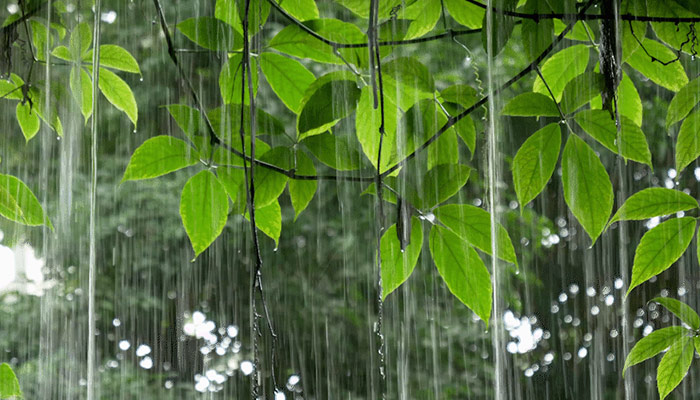 雨111.jpg