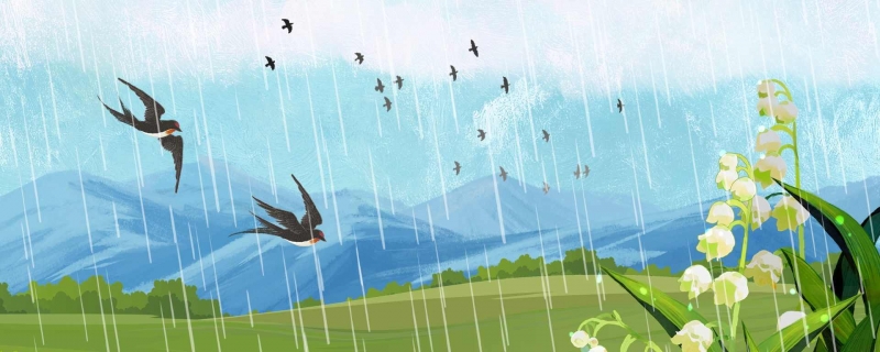 雨水节气养生吃啥