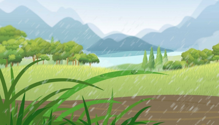 雨水节气养生吃啥