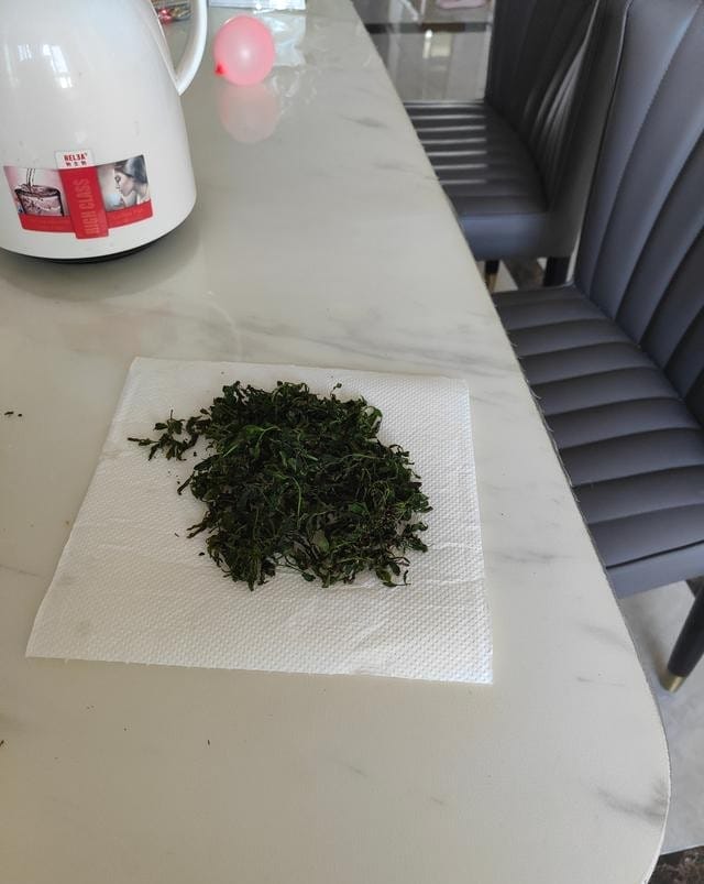 酸枣叶茶的制作方法（自制酸枣叶茶教程步骤）