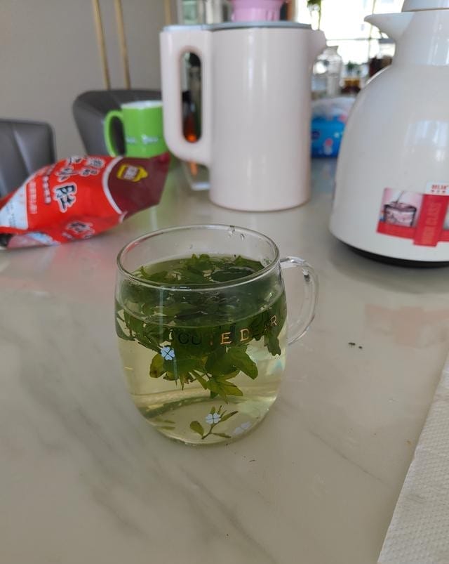 酸枣叶茶的制作方法（自制酸枣叶茶教程步骤）