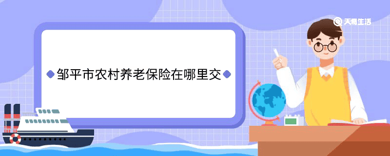 邹平市农村养老保险在哪里交 邹平市农村养老保险在哪儿交