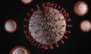 两周内病例猛增 “流感效应”再次上演？