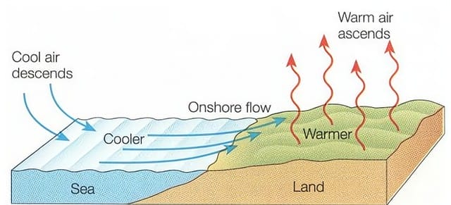 世界上面积最大的沙漠是哪儿（地球最大沙漠介绍）