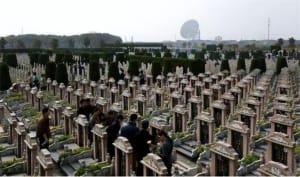 代表建议提供免费墓地和骨灰盒 能否实现？