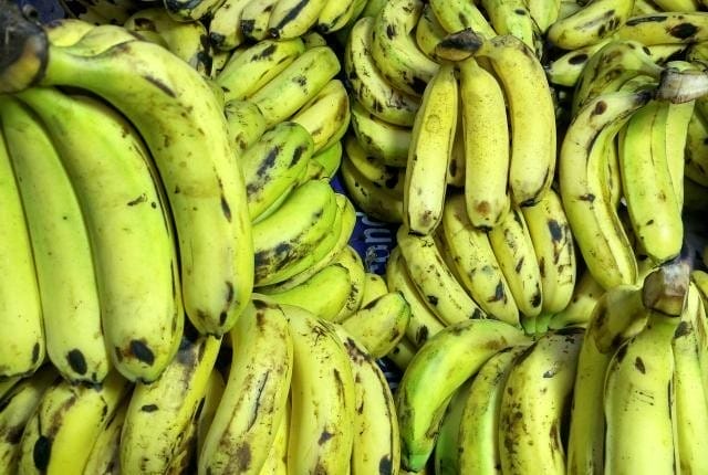 芭蕉和香蕉有什么区别（如何区分芭蕉和香蕉）