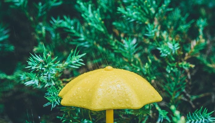 重庆今天雨水送凉气温下滑 未来三天先雨后晴