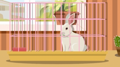 复活节的兔子有什么意义