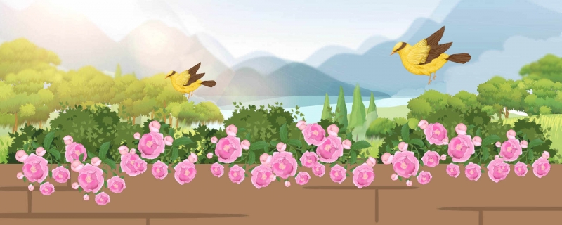 春分意思是什么