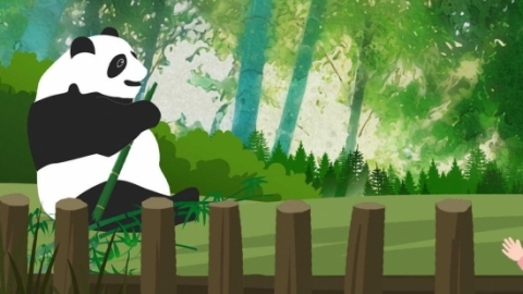 大熊猫为什么被视为国宝