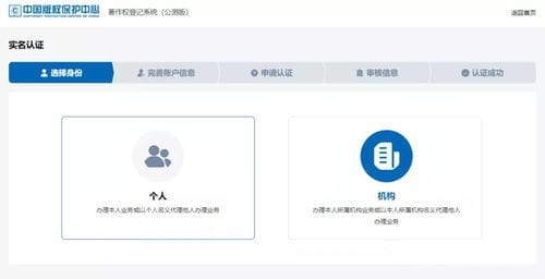 100个有效的实名认证图