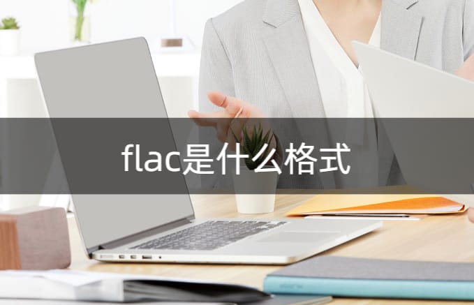flac是什么格式(什么是flac文件)