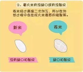 「轻松变身生活高手，掌握这些实用小窍门！」