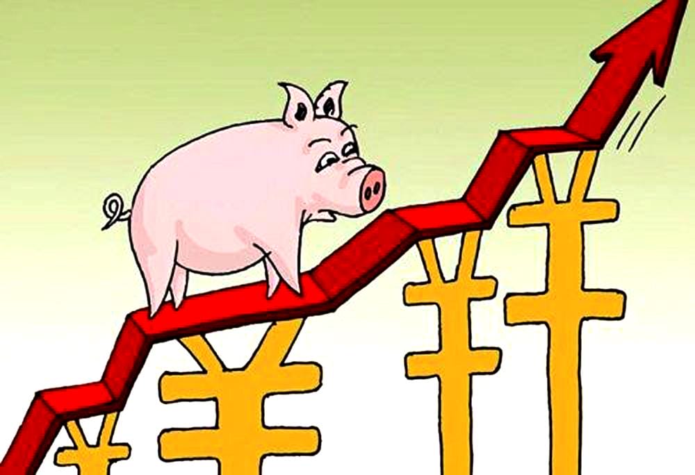 生猪价格今日猪价(生猪大涨9.7%， 猪价要破15元)