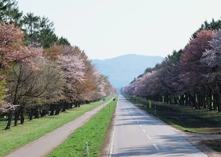 福利彩票双色球规则学起来,玩法与中奖全面了解