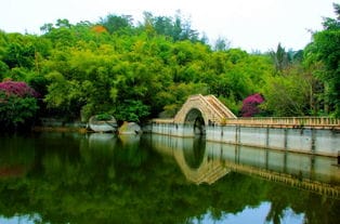 厦门万石植物园南门(厦门万石植物园南门图片)