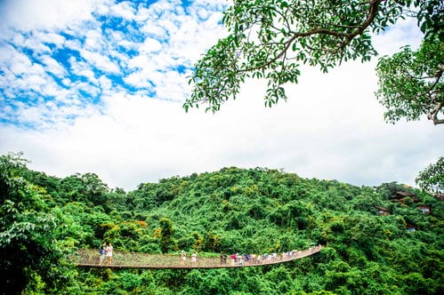 三亚藏了个天堂般的森林公园,拥有超浪漫的雨林景观,你想看吗