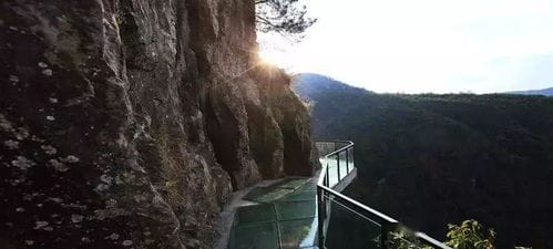 灵江源森林公园门票多少钱一张海珠湿地公园景点(灵江源森林公园旅游攻略)