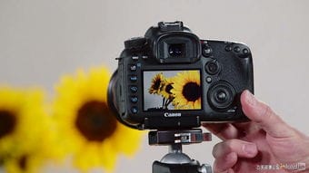 佳能7D Mark II 提示.基础和技巧教程 Canon 7D Mark II Tips 摄影教程 