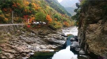 这条陕西秦岭绝美自驾路,打包了最斑斓的秋色 