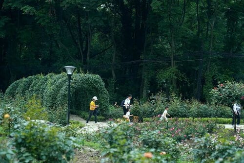 在没有花的成都植物园,我带了一个 百万废片摄影师 逛了6小时
