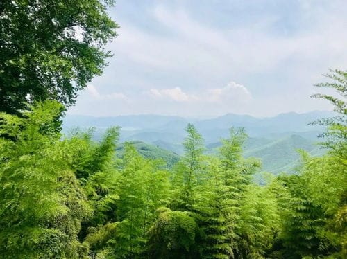 莫干山不算高,山峦连绵起伏,风景秀丽多姿