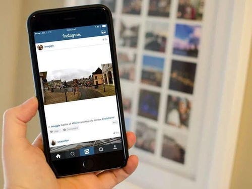 白玉兰奖公布入围名单 当当成立 公司权益保护部 Instagram将推出短视频功能 猬报