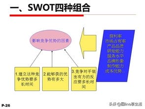 SWOT分析与案例模型