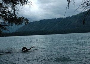 喀纳斯湖水怪终于被证实,体型巨大 尼斯湖水怪简直弱爆了